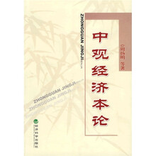 中观经济本论