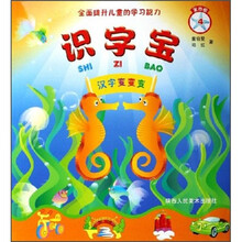 全面提升儿童的学习能力·识字宝:汉字变变变(第4册)
