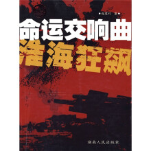 命运交响曲：淮海狂飙