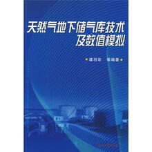 天然气地下储气库技术及数值模拟