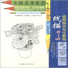 全国青少年宫业余美术学校美术培训班少年儿童美术教材：线描植物树木写生教程