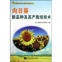 向日葵新品种及高产栽培技术