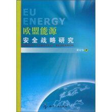欧盟能源安全战略研究