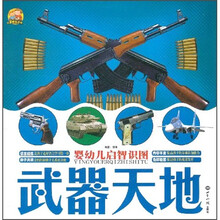 婴幼儿启智识图：武器天地