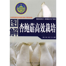 图解杏鲍菇高效栽培