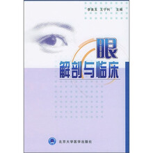 眼解剖与临床