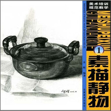 美术培训规范教学1：素描静物