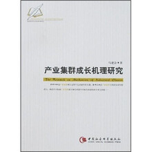 产业集群成长机理研究