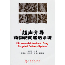 超声介导药物靶向递送系统