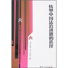 转型中国法治进路的选择