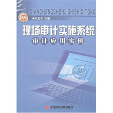 现场审计实施系统审计应用实例