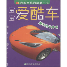 我的全脑启动第一书：宝宝爱酷车