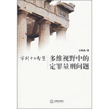 审判中的智慧：多维视野中的定罪量刑问题