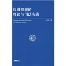 侵财犯罪的理论与司法实践