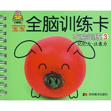 宝宝全脑训练卡:右脑训练3(记忆力·注意力)