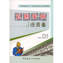 真图实例话质量