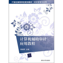 计算机辅助审计应用教程