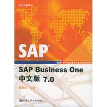 SAP Business One中文版7.0（附光盘）