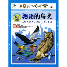 翱翔的鸟类