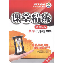 课堂精练：数学（9年级·全1册）（新课标版·最新版）