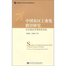 中国农区工业化路径研究：以欠发达平原农区为例