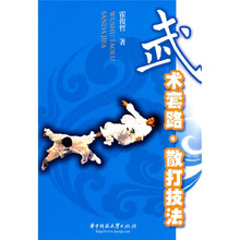 武术套路:散打技法