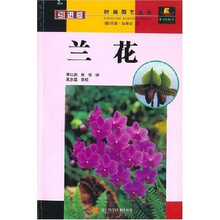 兰花（引进版）