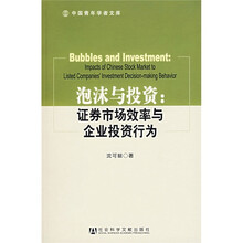 泡沫与投资：证券市场效率与企业投资行为