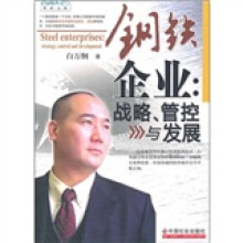 钢铁企业:战略、管控与发展