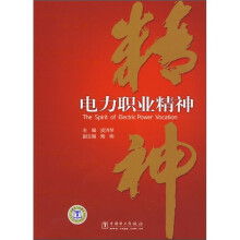 电力职业精神