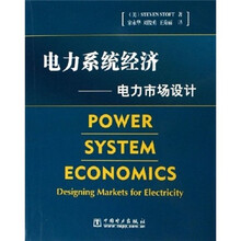 电力系统经济：电力市场设计