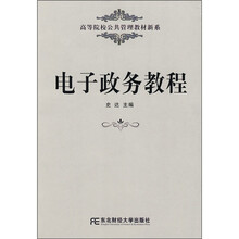 高等院校公共管理教材新系：电子政务教程
