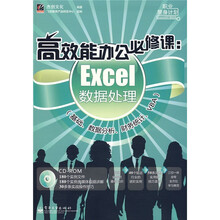 职业逆身计划·高效能办公必修课:Excel数据处理(基础、数据分析、财务统计、VBA)(附光盘1张)