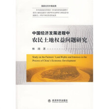 中国经济发展进程中农民土地权益问题研究