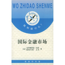 国际金融市场(国际资本市场)