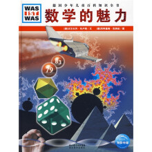 德国少年儿童百科知识全书:数学的魅力