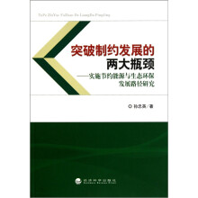 突破制约发展的两大瓶颈：实施节约能源与生态环保发展路径研究