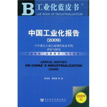 中国工业化报告(2009):15个重点工业行业现代化水平的评价与研究(附光盘)