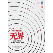 无界:企业如何在全球互联时代生存