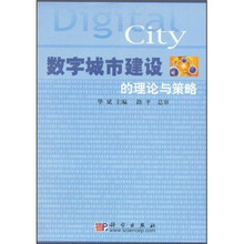 数字城市建设的理论与策略