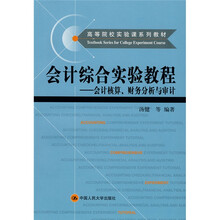 高等院校实验课系列教材·会计综合实验教程：会计核算、财务分析与审计