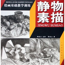 绘画基础教学训练:静物素描