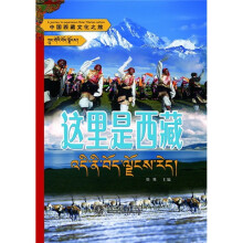 中国西藏文化之旅：这里是西藏