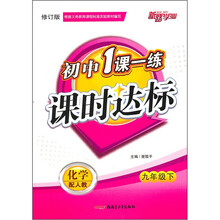 初中1课一练课时达标：化学（9年级下）（配人教）（修订版）