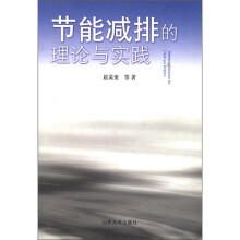 节能减排的理论与实践