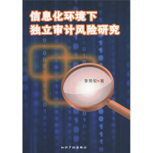 信息化环境下的独立审计风险研究