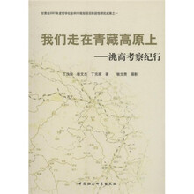 我们走在青藏高原上：洮商考察纪行