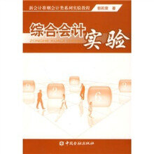 综合会计实验