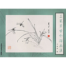 工笔草虫白描画集