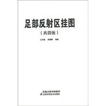 足部反射区挂图（共4张）